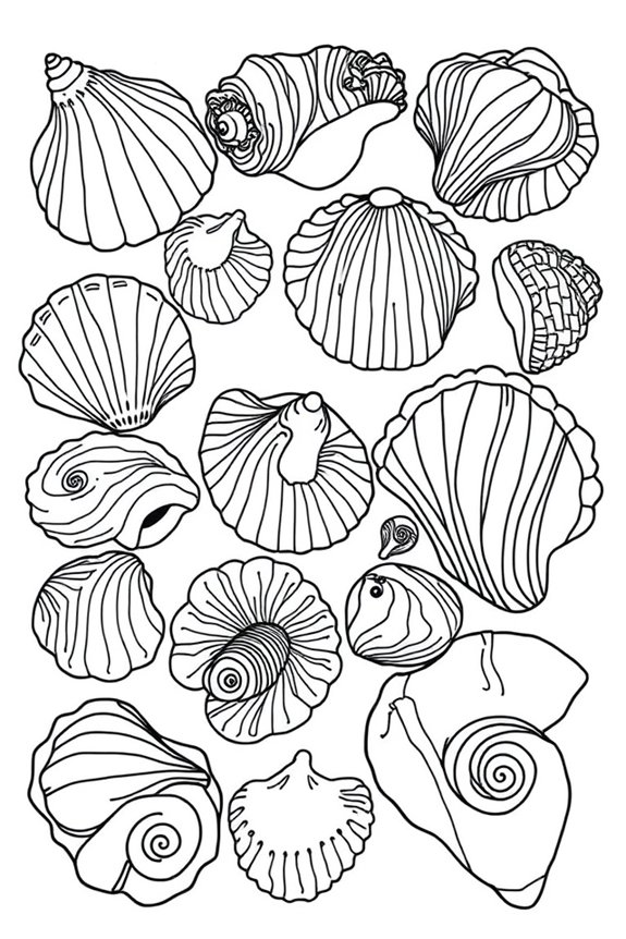 kostenlose Shell-Farbvorlage