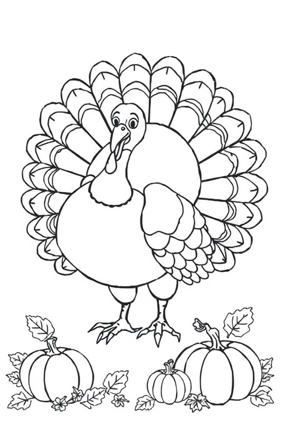 Thanksgiving Truthahn Ausmalbild